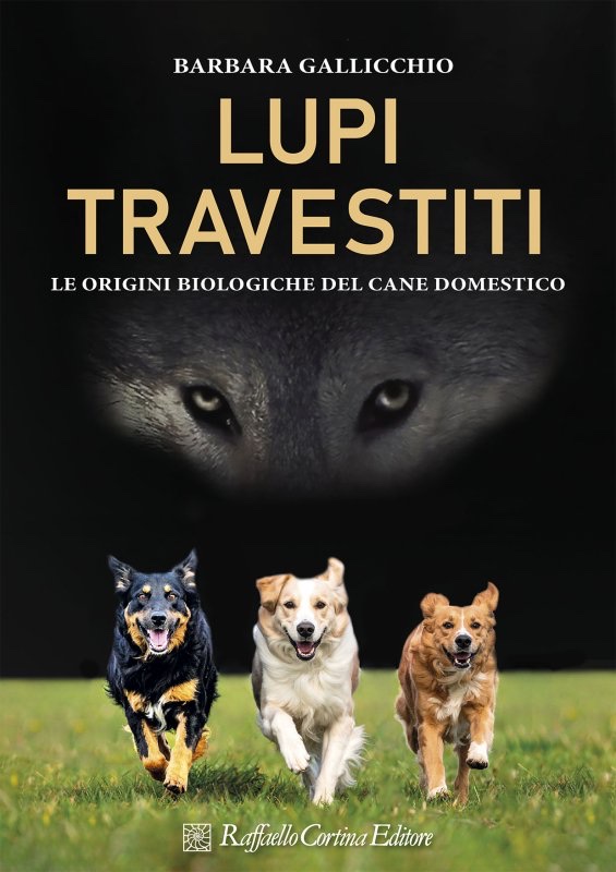 Lupi travestiti: dibattito con Barbara Gallicchio