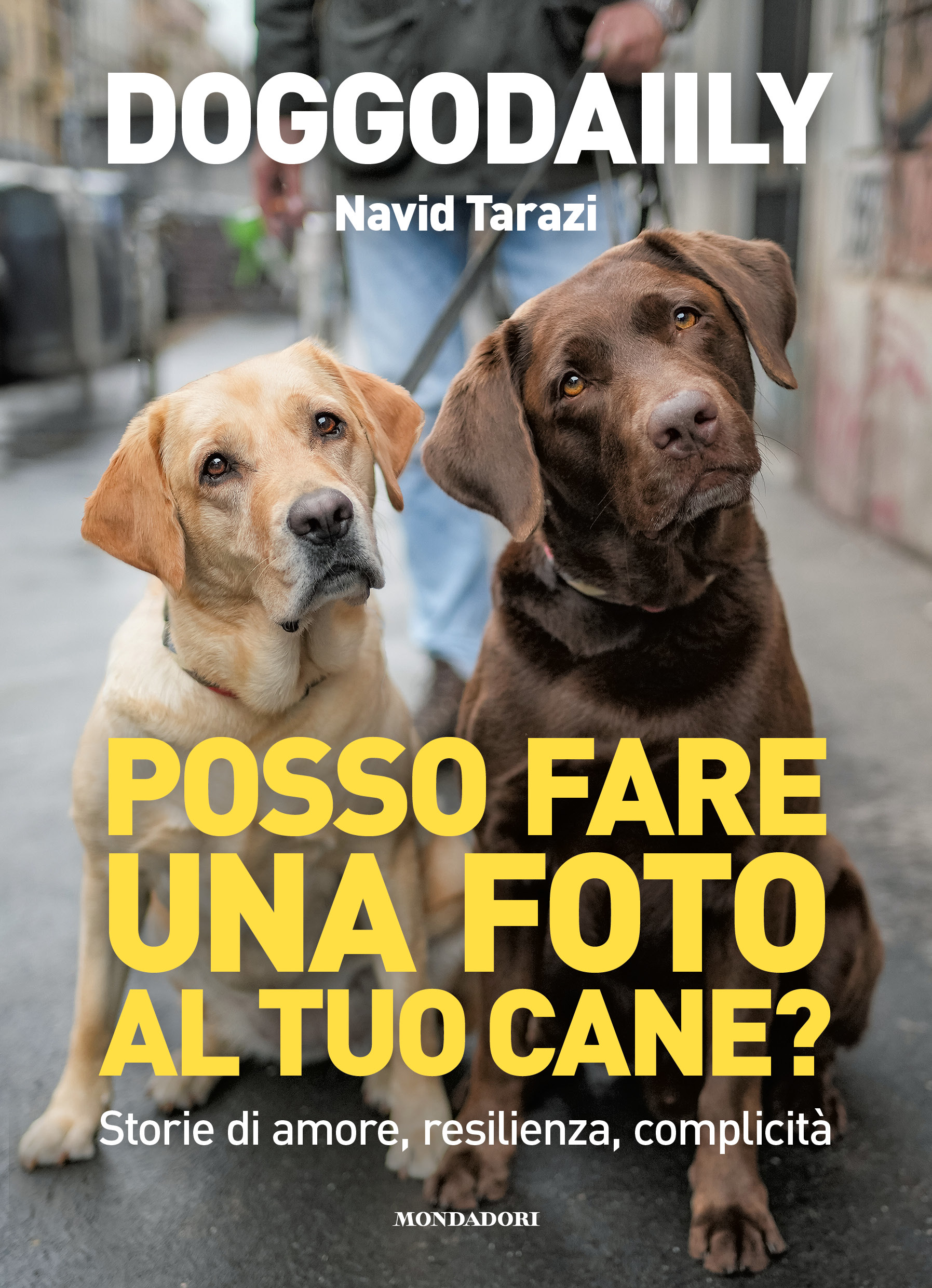 Posso fare una foto al tuo cane? Incontro con Navid Tarazi (Doggodaiily)