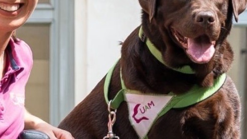 Comunicare con il cane negli Interventi Assistiti con gli Animali (IAA)