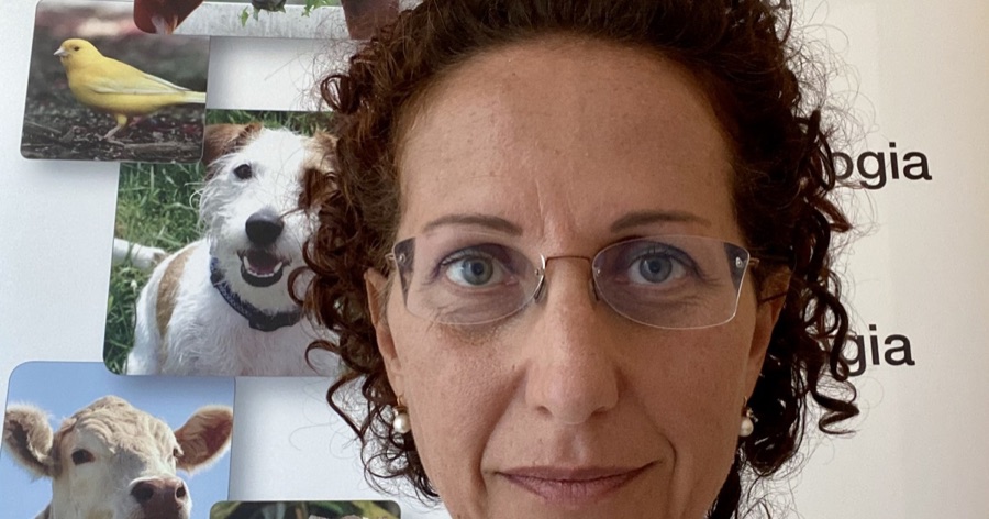 Deborah Fratucello