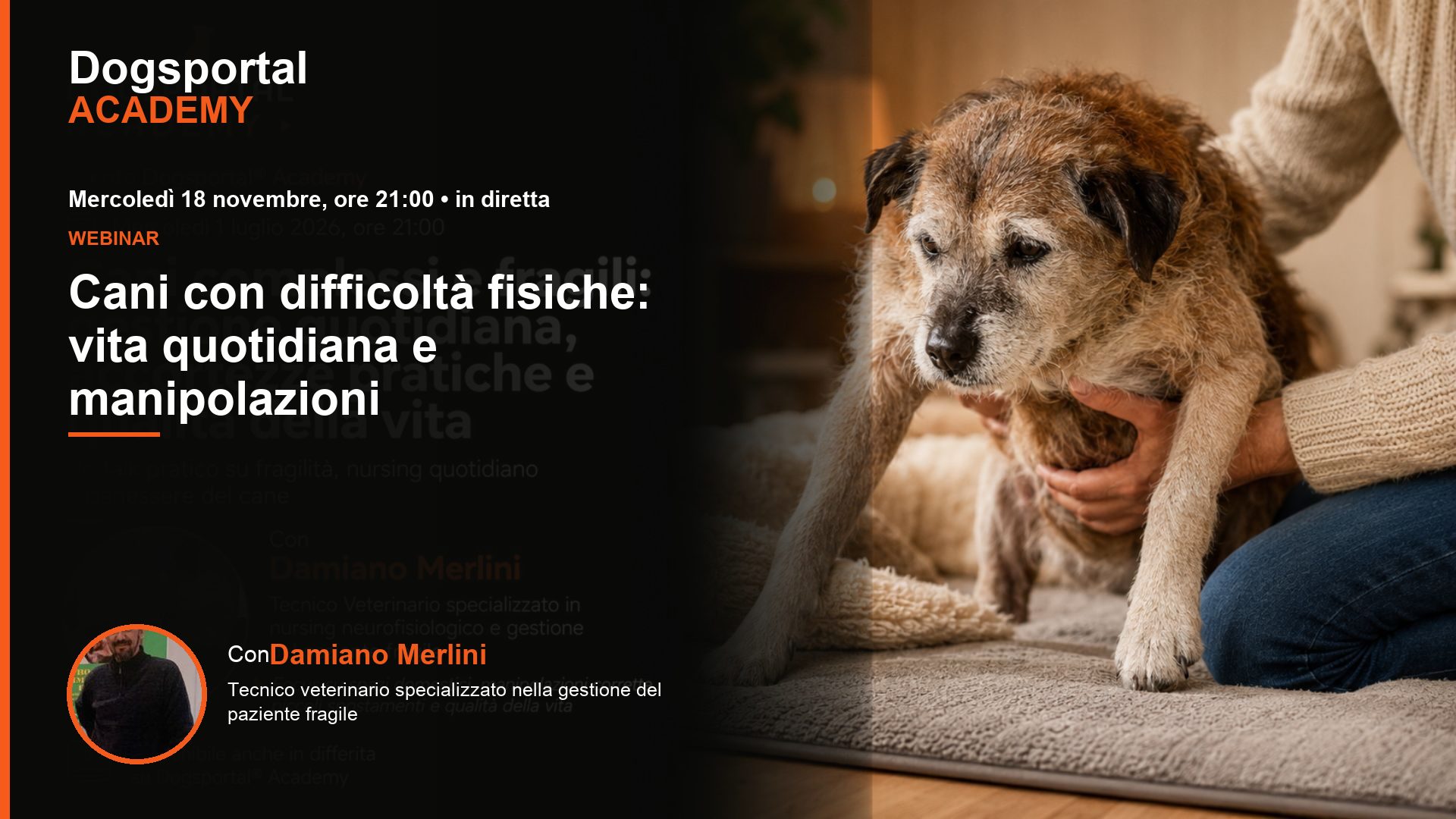 Cani con difficoltà fisiche: vita quotidiana e manipolazioni