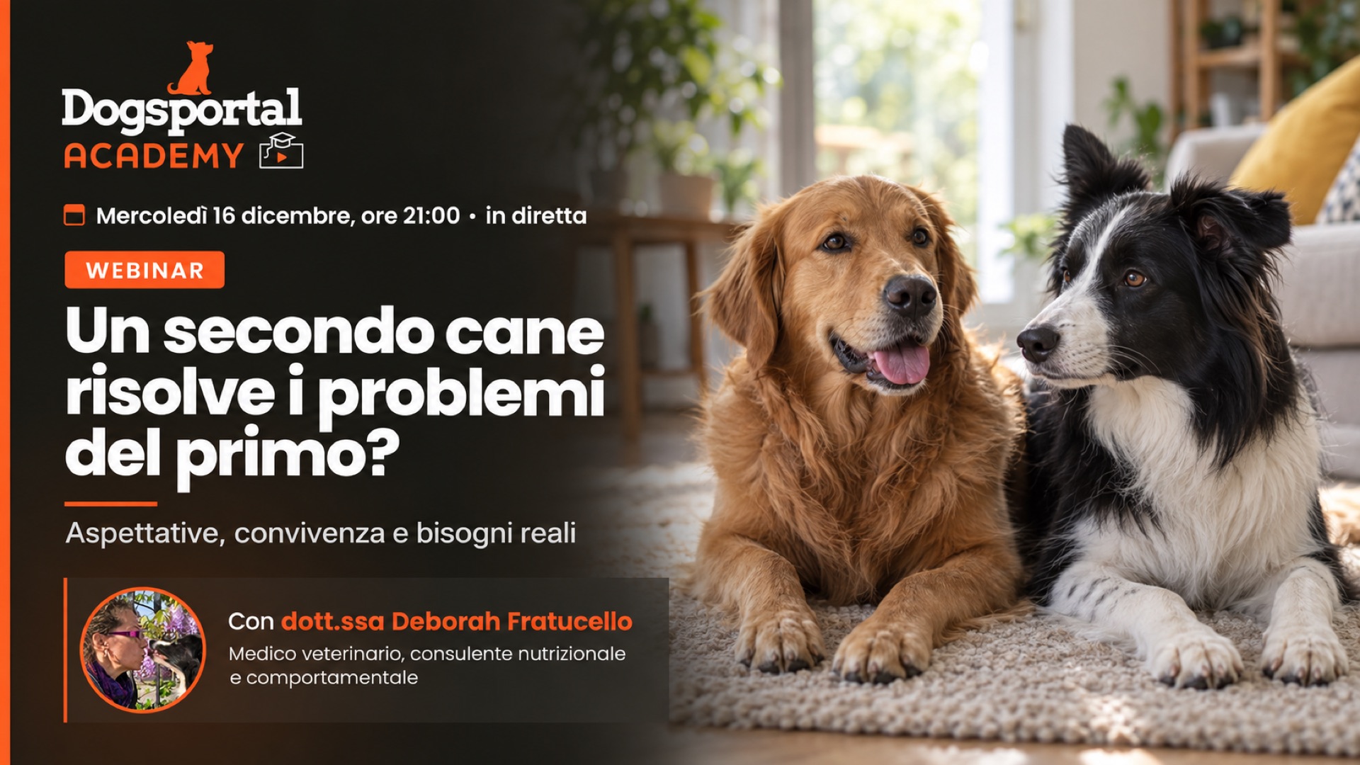 Un secondo cane risolve i problemi del primo?