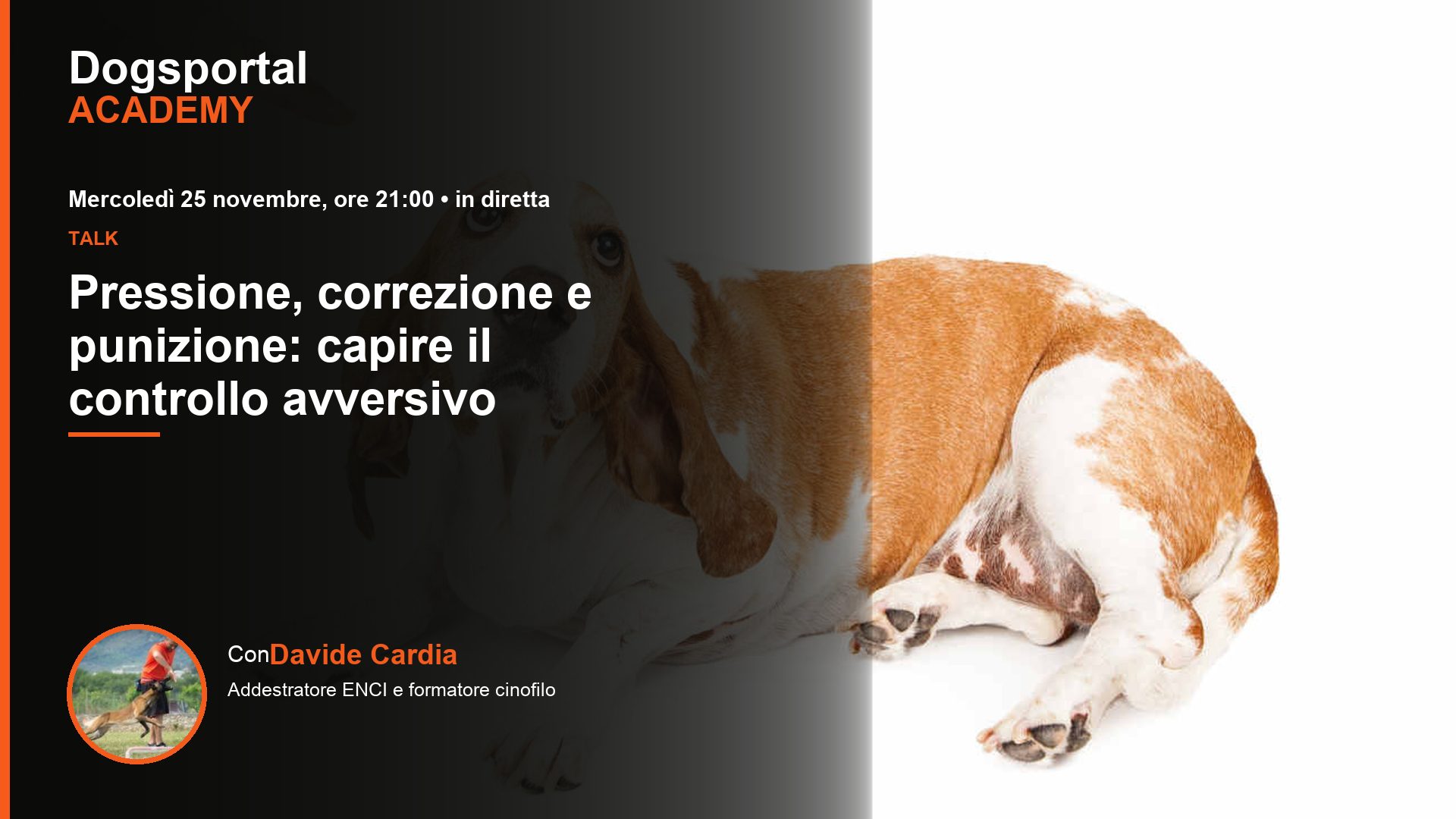 Pressione, correzione e punizione: capire il controllo avversivo